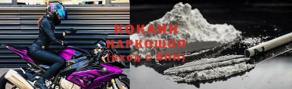 стаф Володарск
