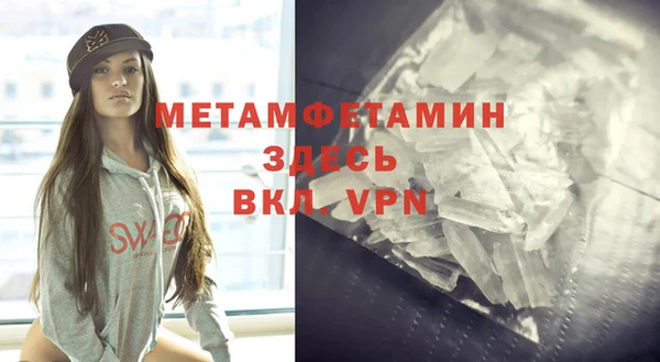 сатива Волоколамск