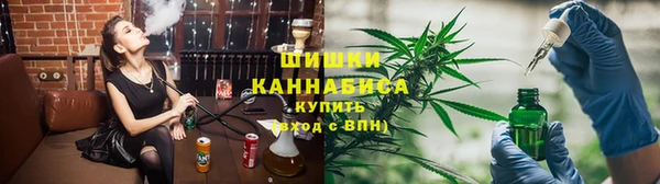 сатива Волоколамск