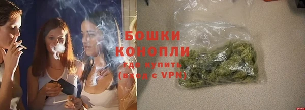 стаф Володарск