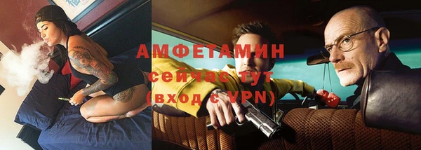 сатива Волоколамск